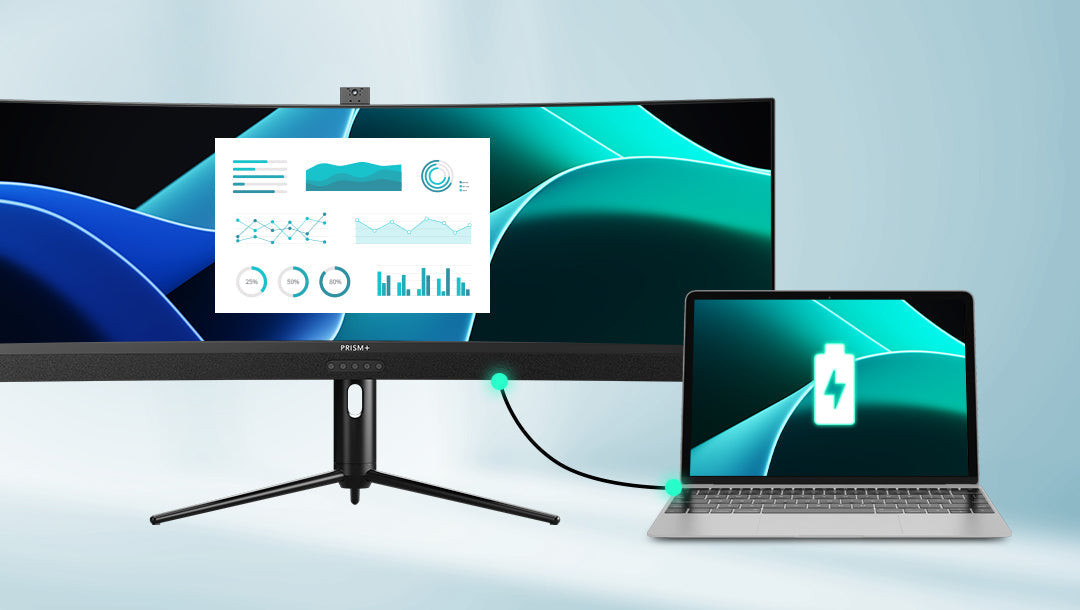 monitor x240 - 10