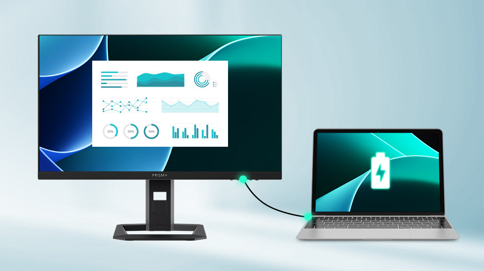 monitor x240 - 10