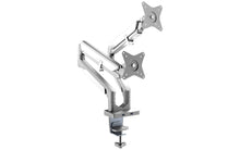 metallic-silver main