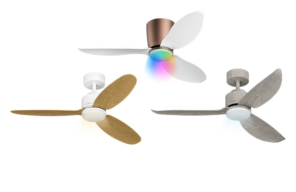 Ceiling Fans