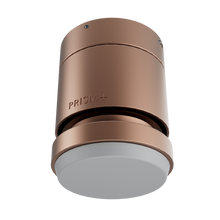 Oasis Motor Housing 46-52" Smart LED - Rose Gold
