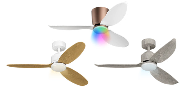 Ceiling Fans