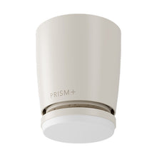 Oasis Pro Macaron Smart Motor 46-52" Hugger - Cannoli Cream