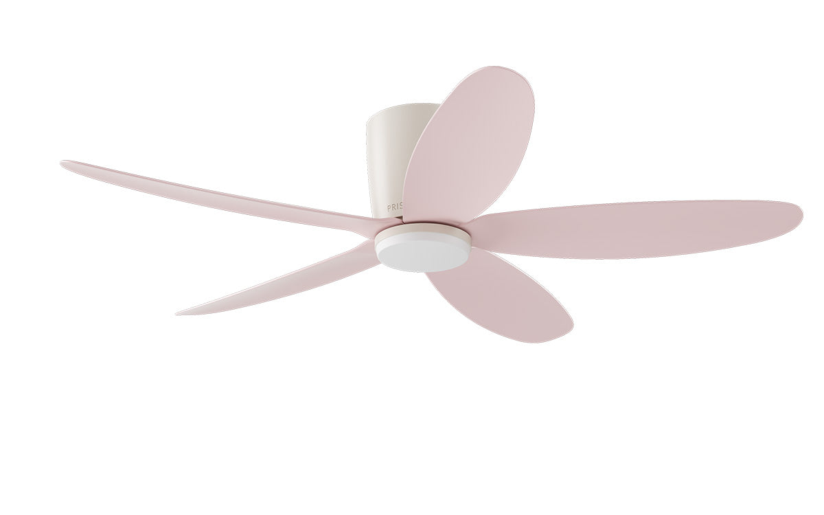 Oasis Pro - Blade Champagne Pink