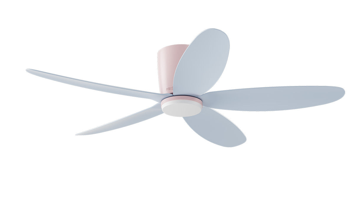 PRISM+ Oasis Pro Macaron Curve - 5 Blades - Hugger Standard NRGB