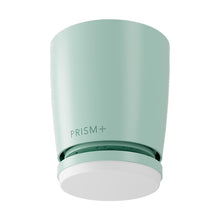 Oasis Pro Macaron Standard Motor 46-52" Hugger - Mint Green