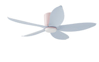 PRISM+ Oasis Pro Macaron Leaf - 5 Blades - Hugger Smart NRGB