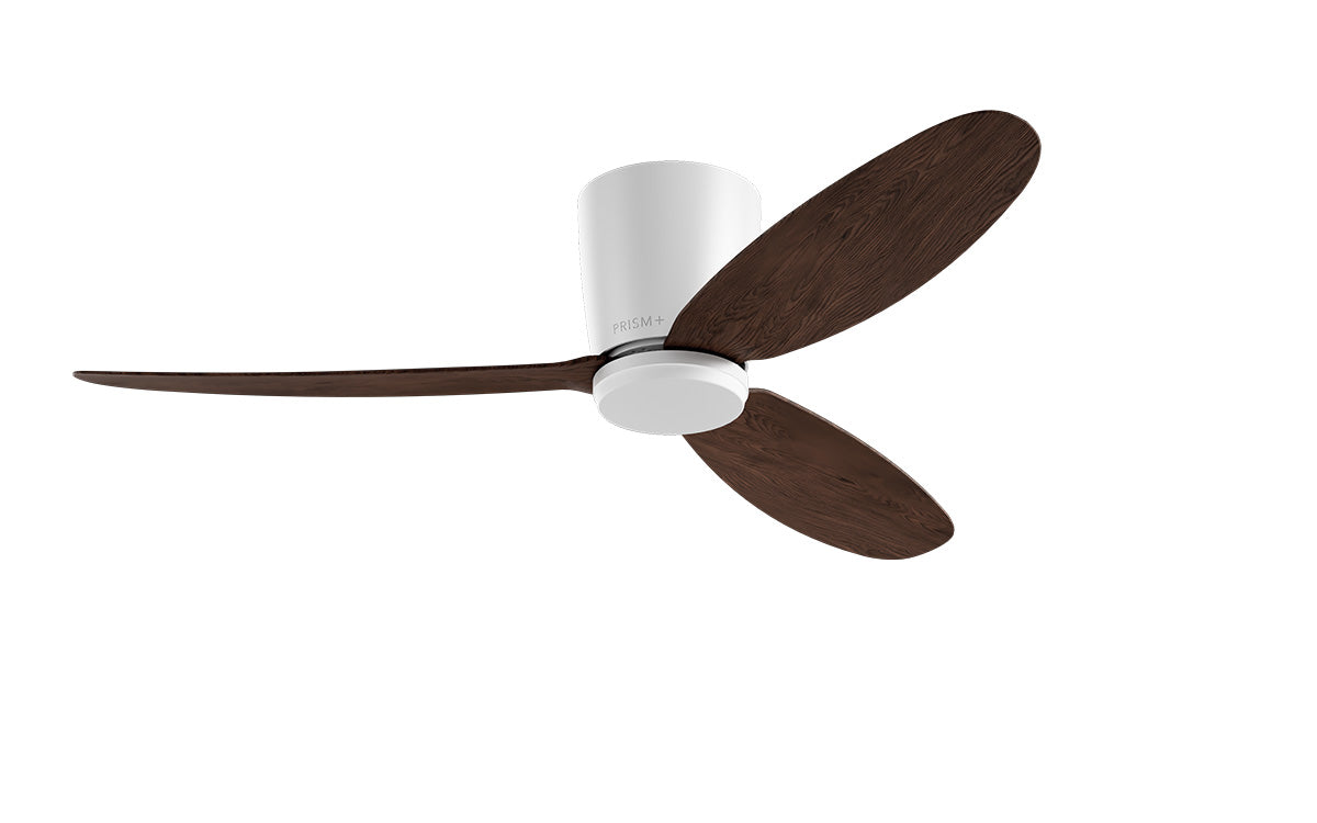 PRISM+ Oasis Pro Curve - 3 Blades - Hugger Smart NCCT