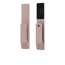 sentinel-copper-rose