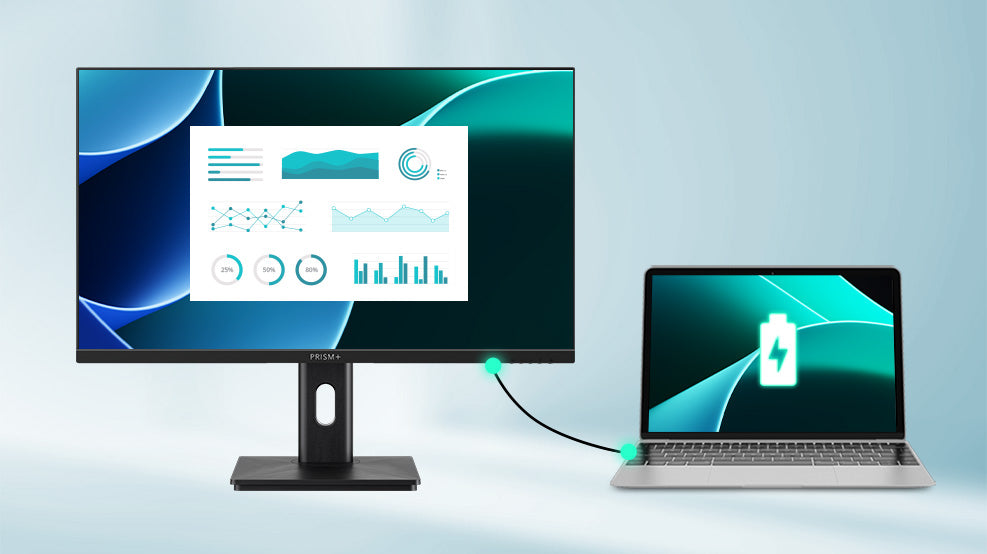 monitor x240 - 10